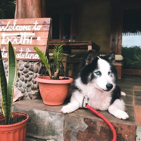 Bodhi Santa Catalina Hostel Ngoại thất bức ảnh