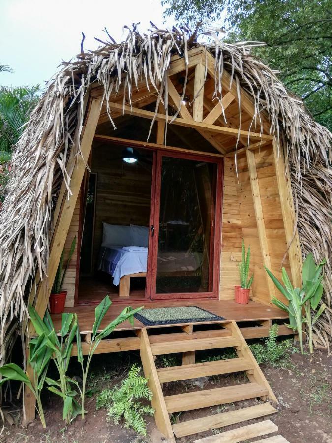 Bodhi Santa Catalina Hostel Ngoại thất bức ảnh